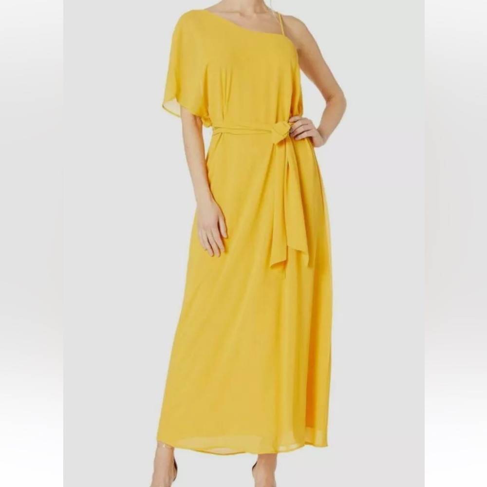 Show Me Your Mumu Women's Yellow Waist Tie Saint Maxi Dress